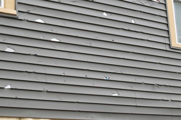 Best Fascia and Soffit Installation  in Round Lake Beach, IL