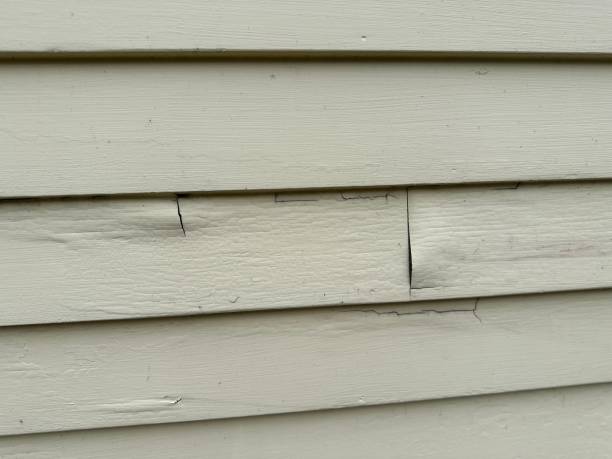 Storm Damage Siding Repair in Round Lake Beach, IL